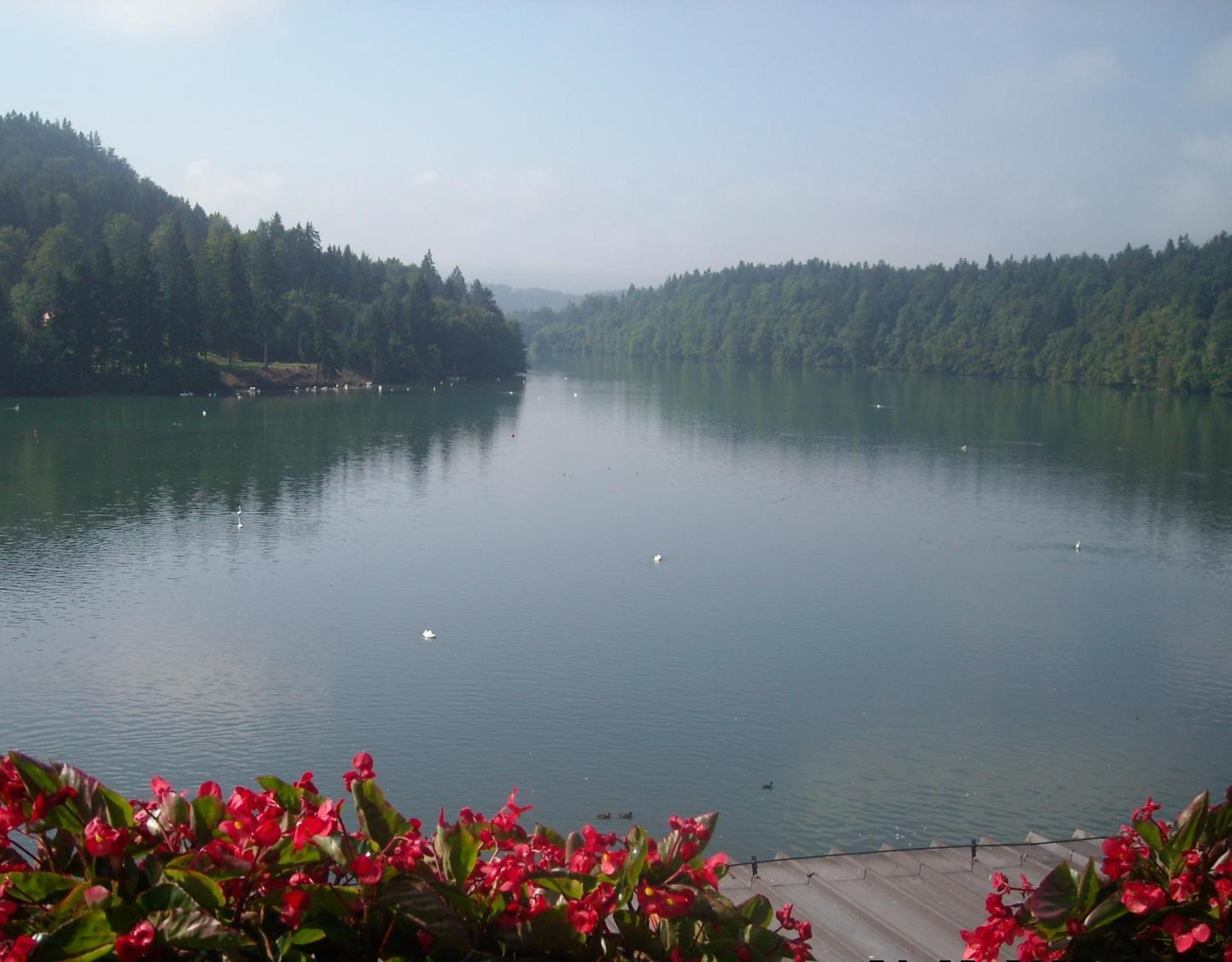 Gostisce Jezero Bed and Breakfast Medvode Exterior foto