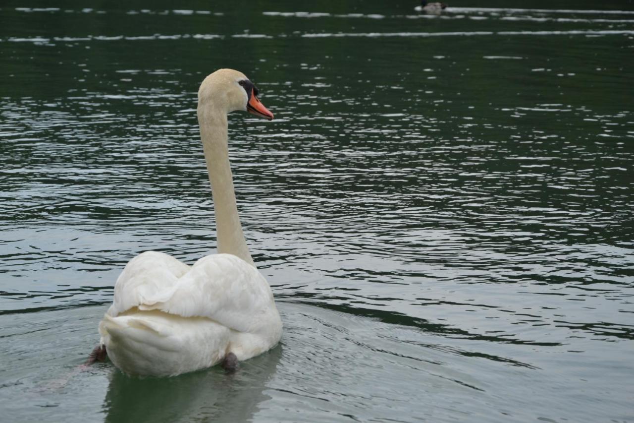 Gostisce Jezero Bed and Breakfast Medvode Exterior foto